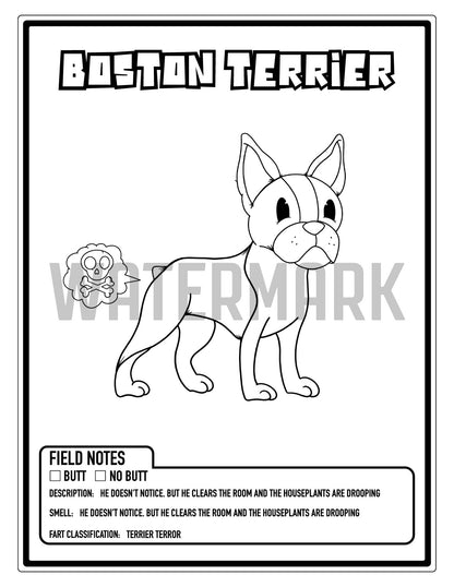 Almost All Butts Fart Coloring Book